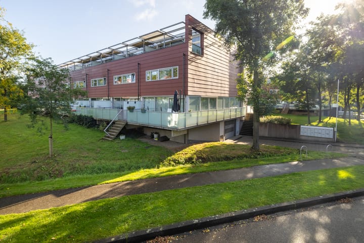 Foto 1 van Meerval 56