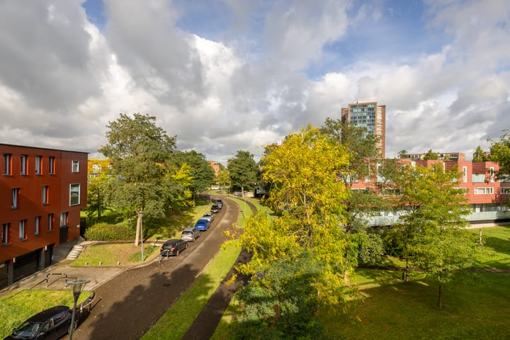 Foto 14 van Meerval 56