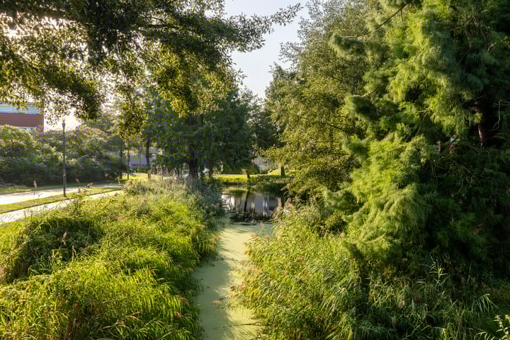 Foto 32 van Meerval 56