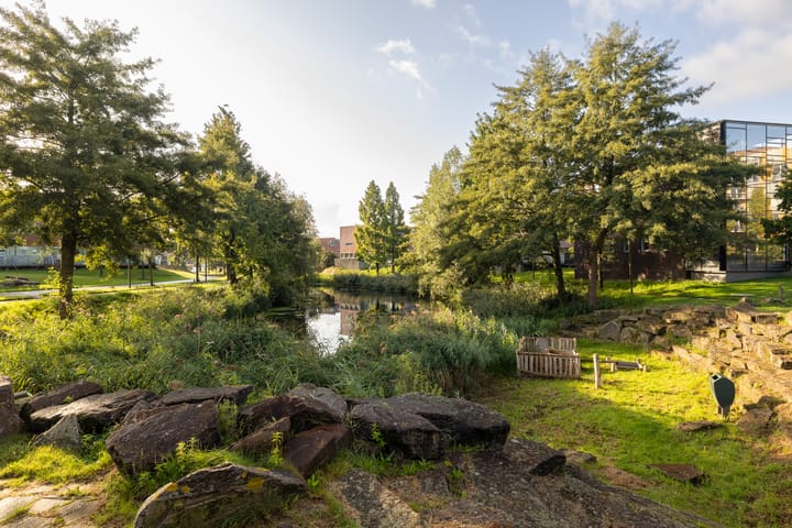 Foto 33 van Meerval 56