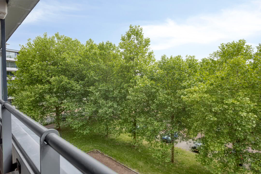 Foto 28 van Boompjesgoed 6-B