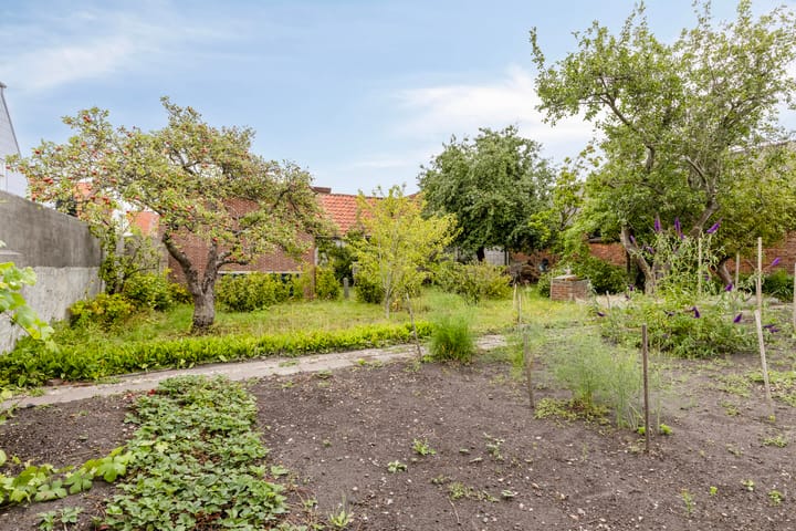 Photo 23 of Markt 29