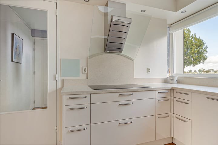 Foto 5 van Citroengras 14