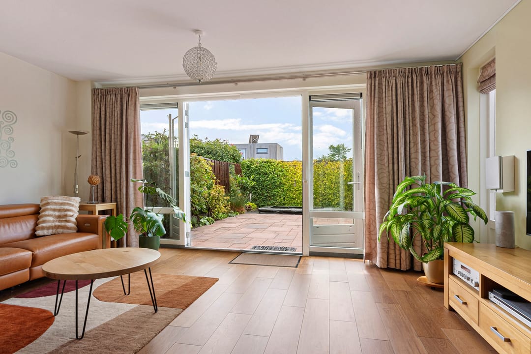 Foto 7 van Citroengras 14