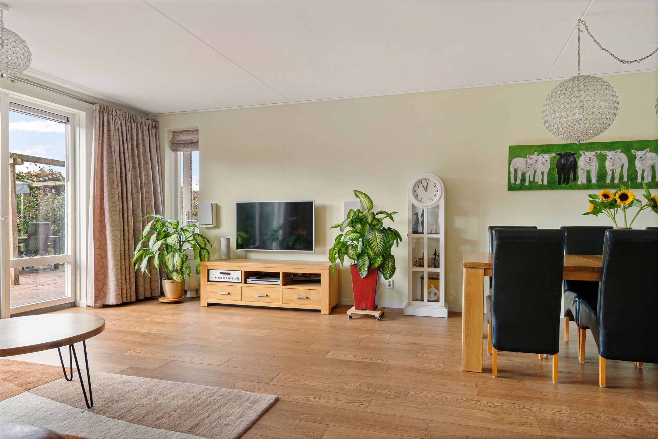 Foto 9 van Citroengras 14