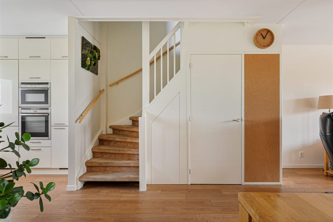 Foto 11 van Citroengras 14