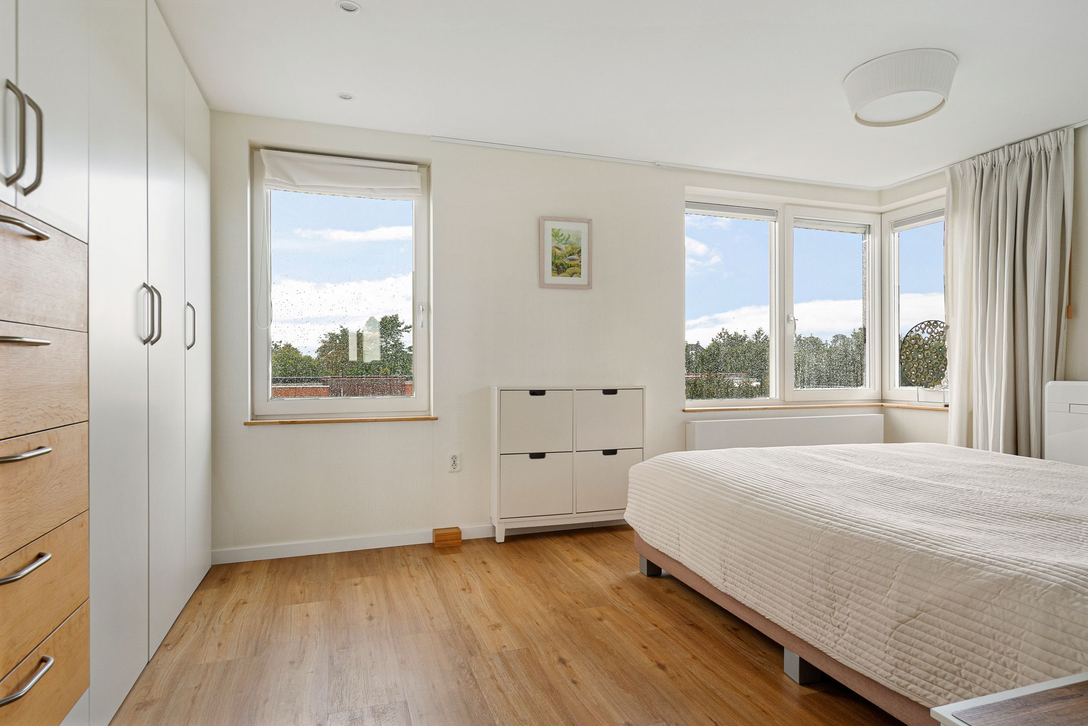 Foto 12 van Citroengras 14