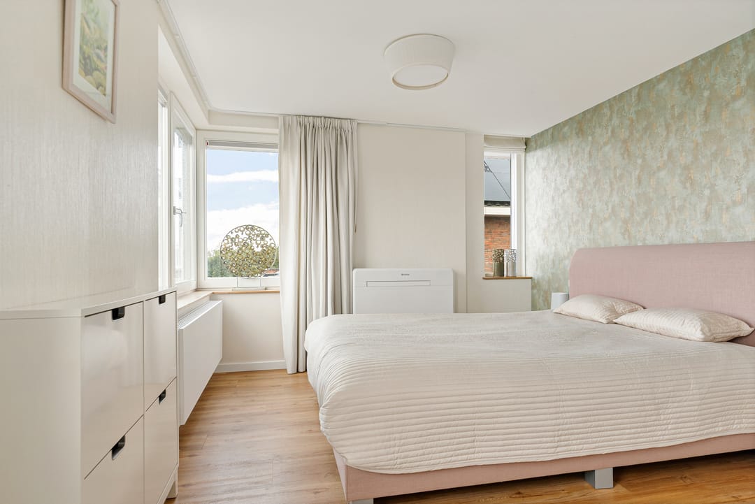 Foto 13 van Citroengras 14