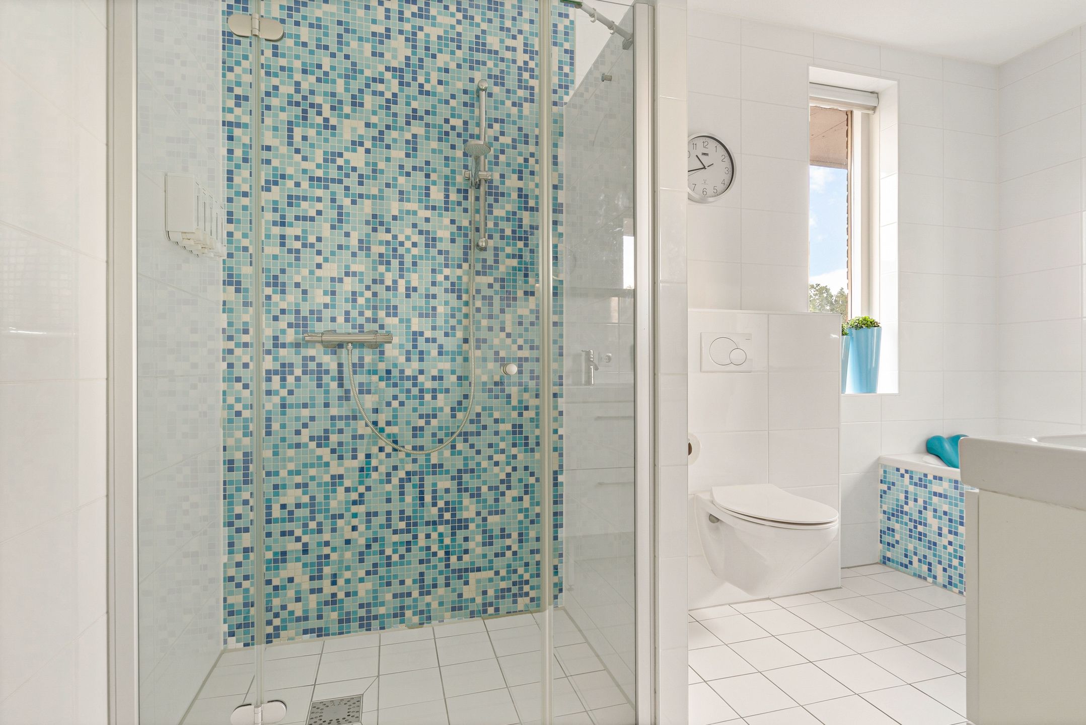 Foto 18 van Citroengras 14