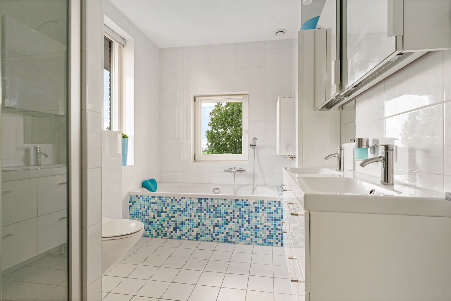 Foto 19 van Citroengras 14