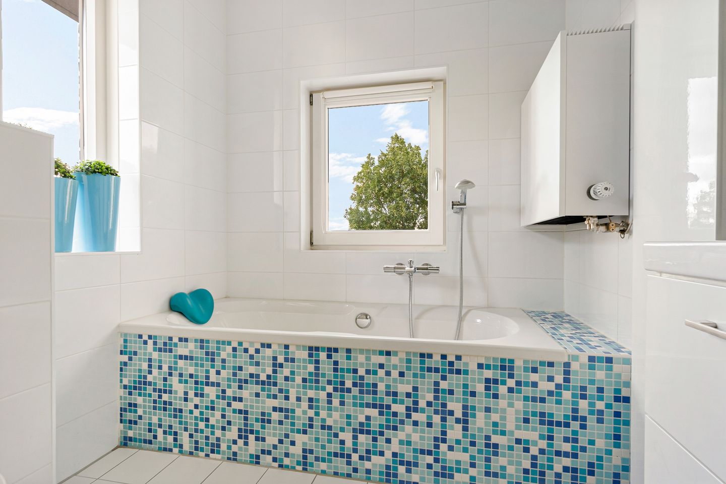 Foto 20 van Citroengras 14