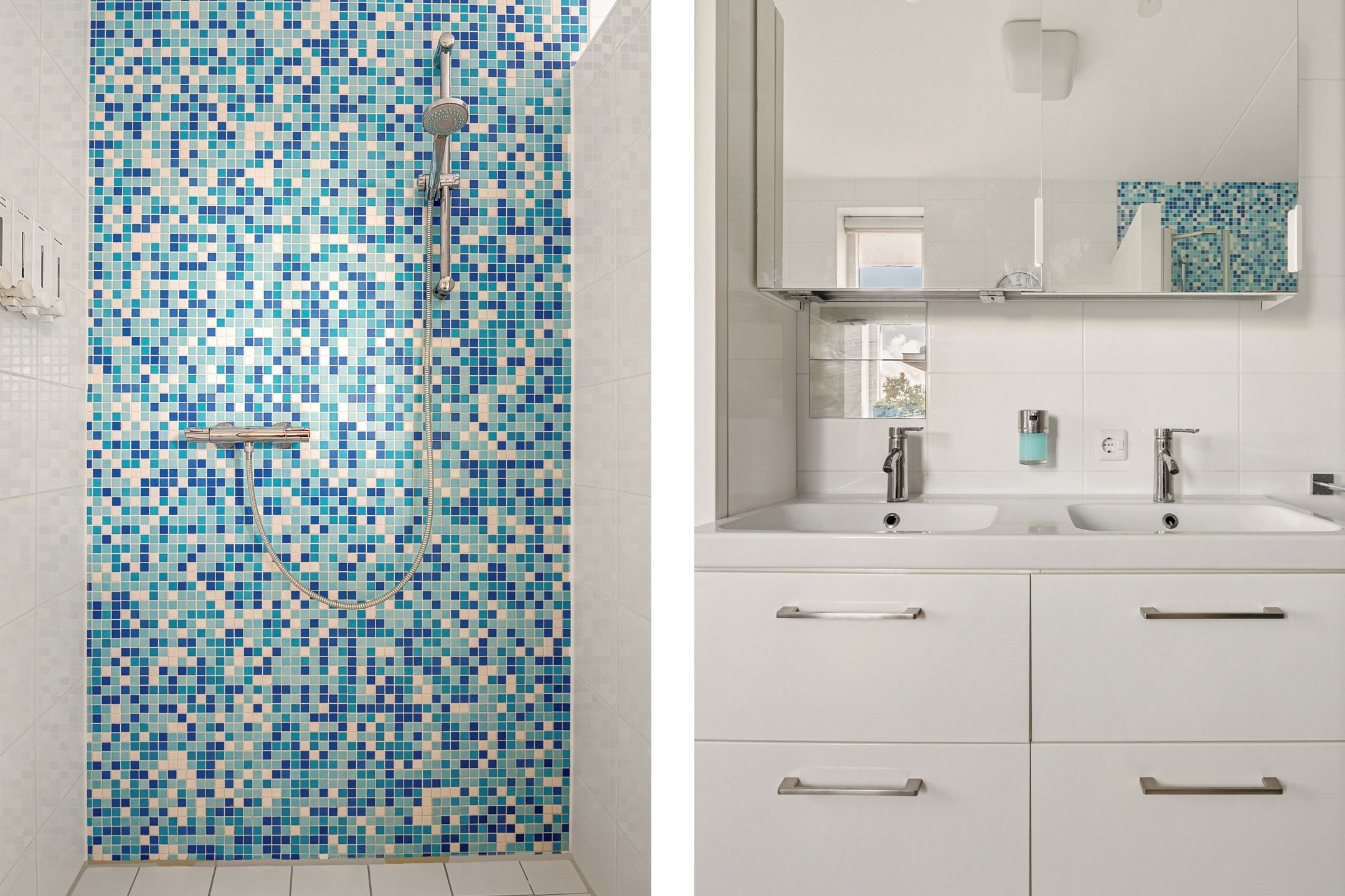 Foto 21 van Citroengras 14