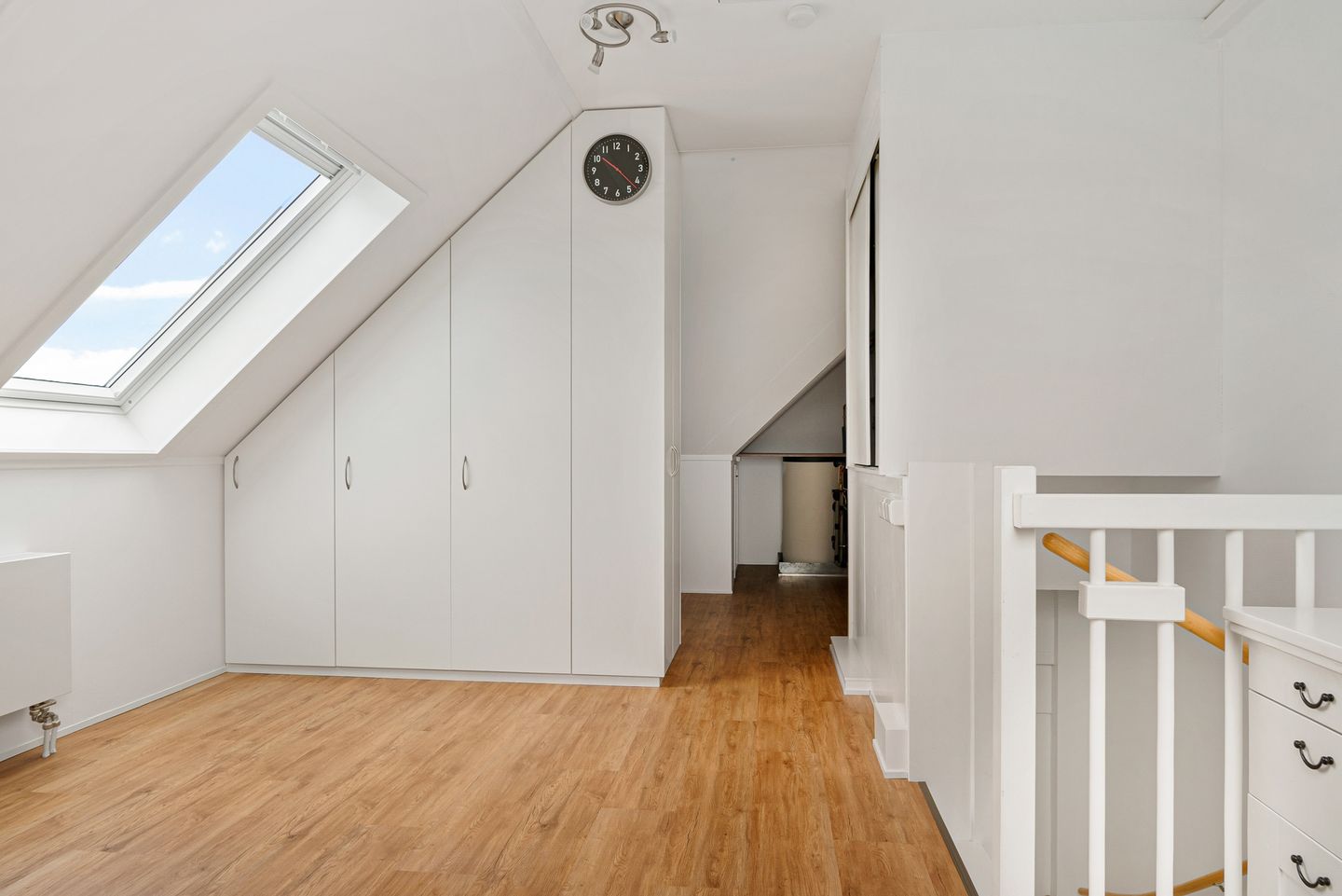 Foto 25 van Citroengras 14