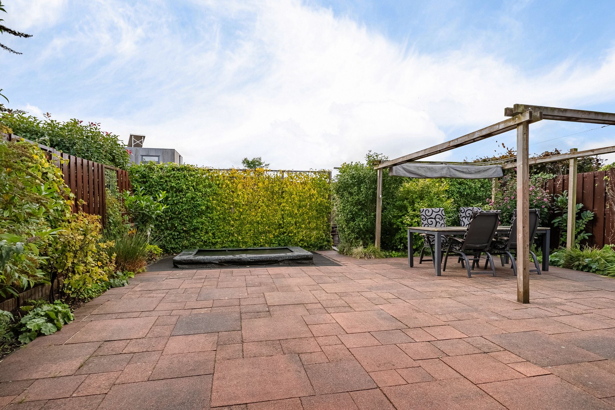 Foto 27 van Citroengras 14