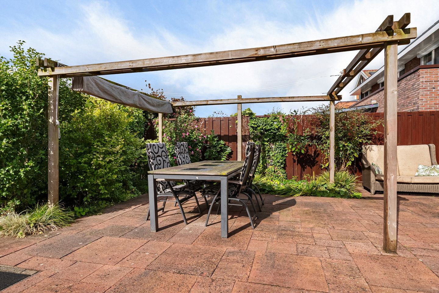 Foto 29 van Citroengras 14