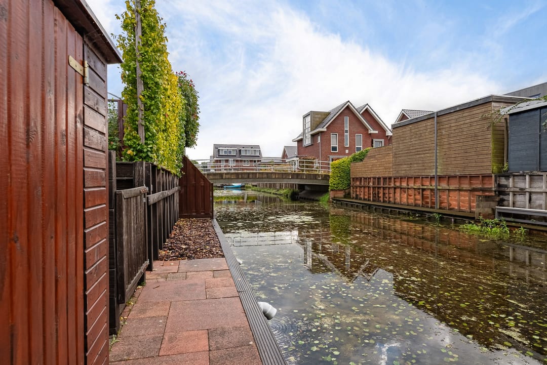 Foto 31 van Citroengras 14