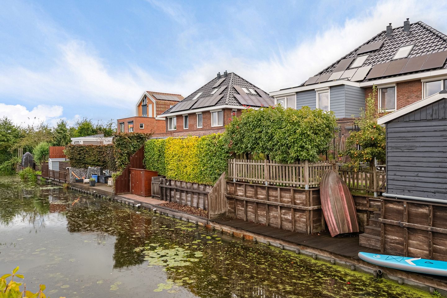 Foto 34 van Citroengras 14