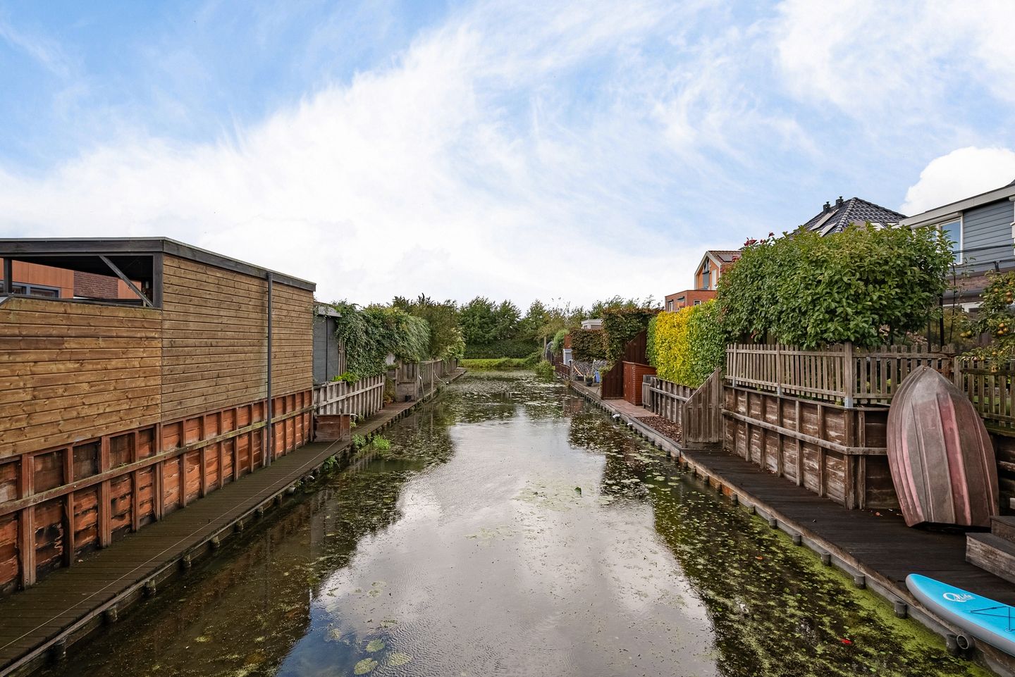 Foto 35 van Citroengras 14