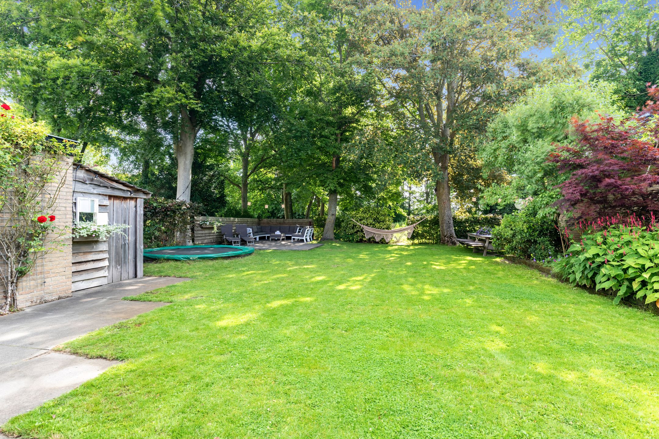 Foto 51 van 't Kieftenland 50