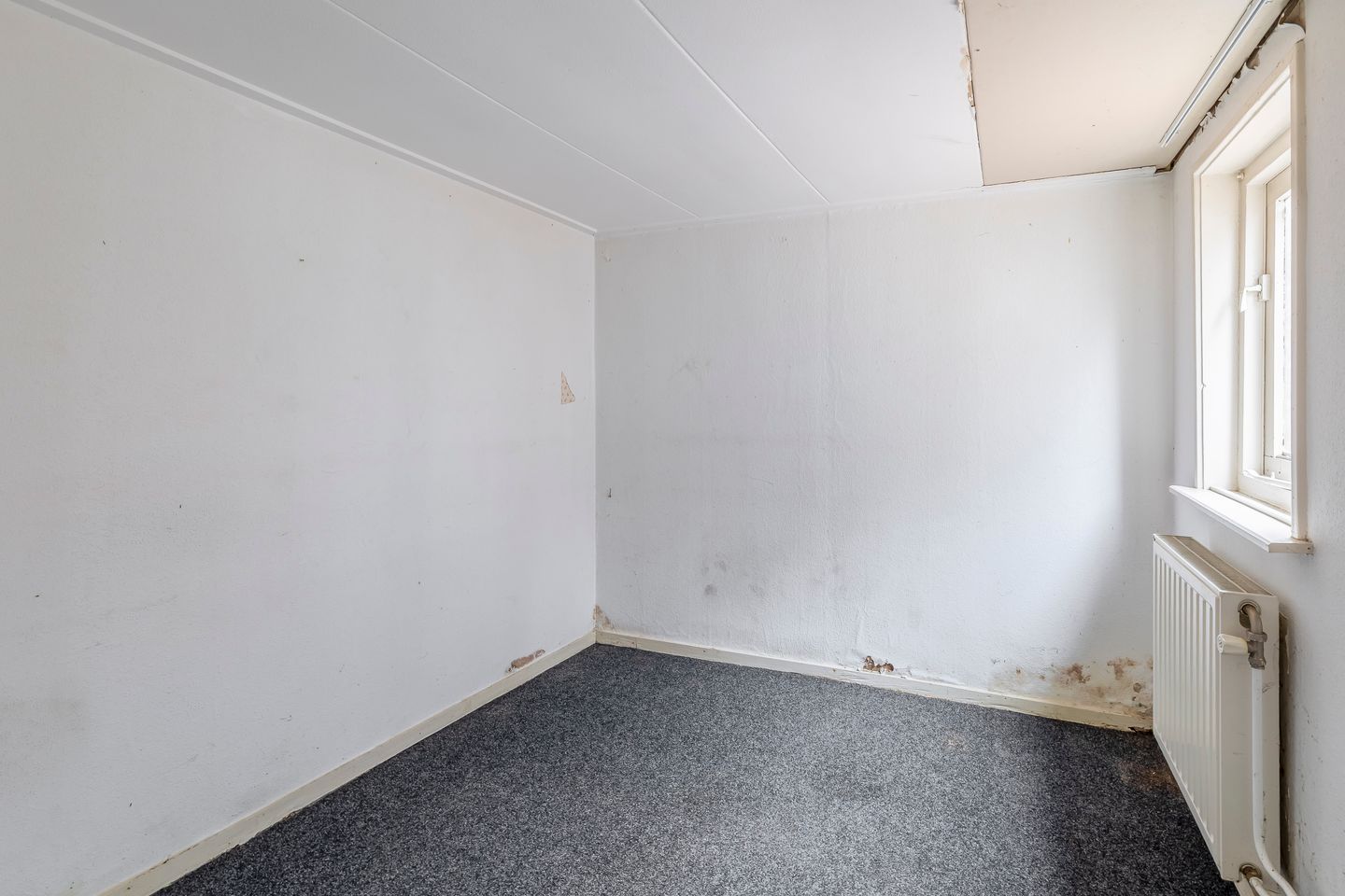 Photo 35 of De Lyts Ein 17