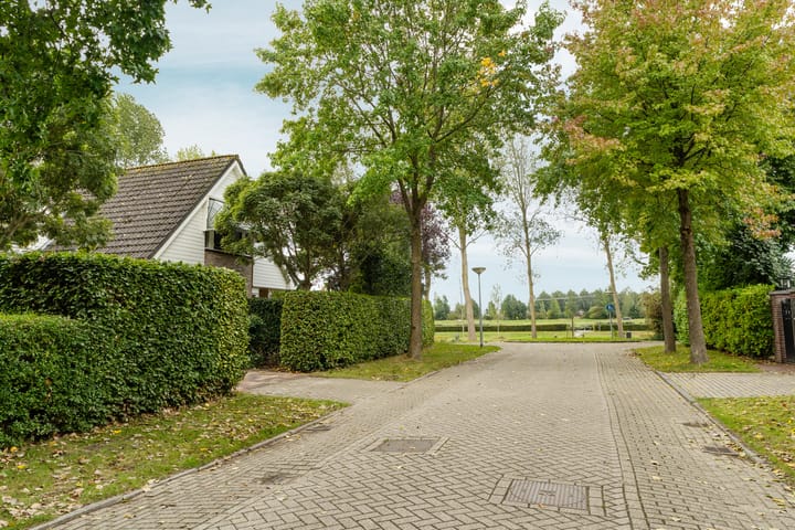 Foto 7 van Alligatorstraat 11