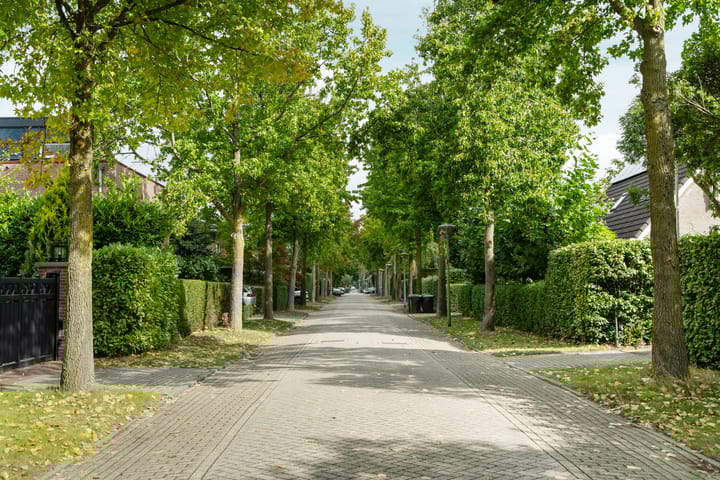 Foto 8 van Alligatorstraat 11