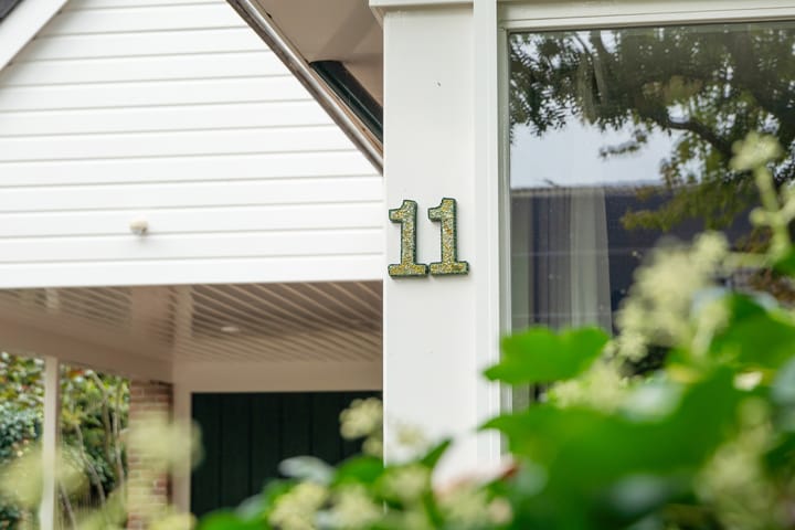 Foto 11 van Alligatorstraat 11