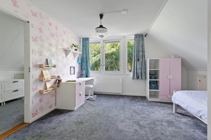 Foto 31 van Alligatorstraat 11