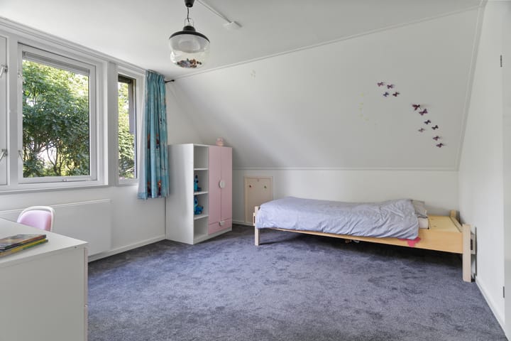 Foto 32 van Alligatorstraat 11