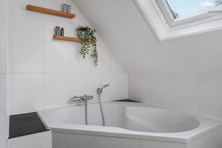 Foto 39 van Alligatorstraat 11