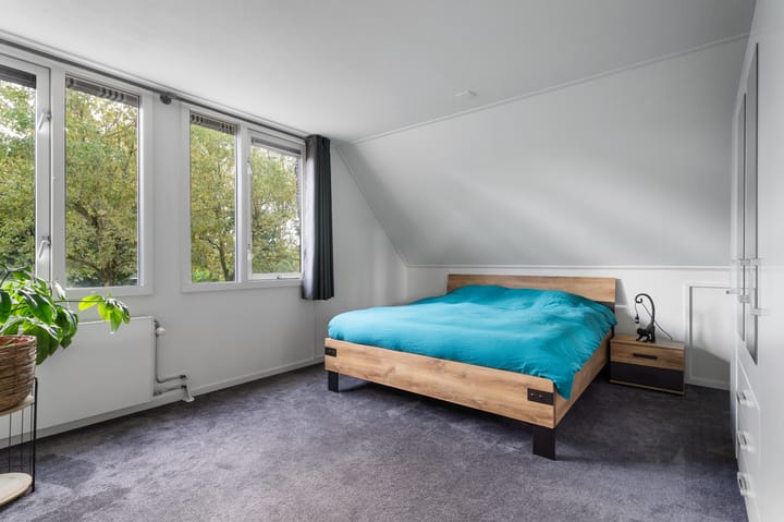 Foto 43 van Alligatorstraat 11