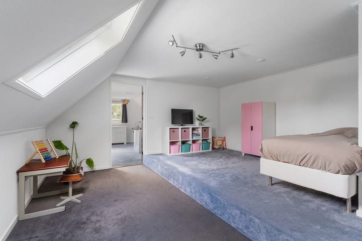 Foto 45 van Alligatorstraat 11