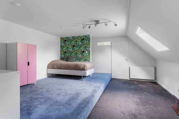 Foto 46 van Alligatorstraat 11