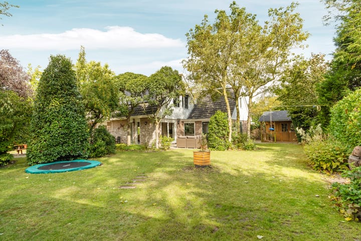 Foto 53 van Alligatorstraat 11