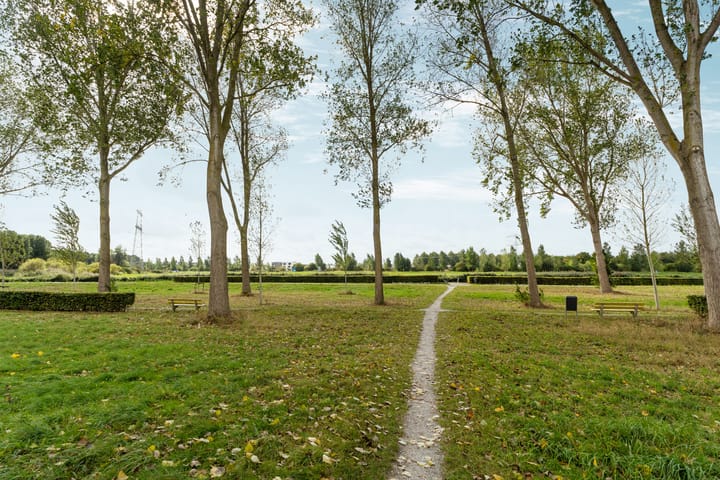 Foto 60 van Alligatorstraat 11