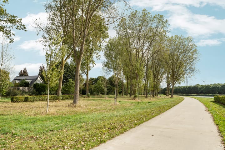 Foto 63 van Alligatorstraat 11