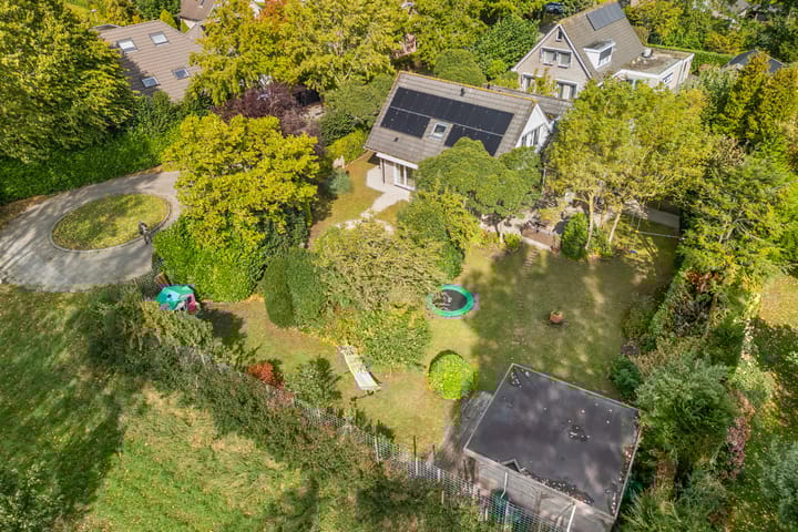 Foto 64 van Alligatorstraat 11