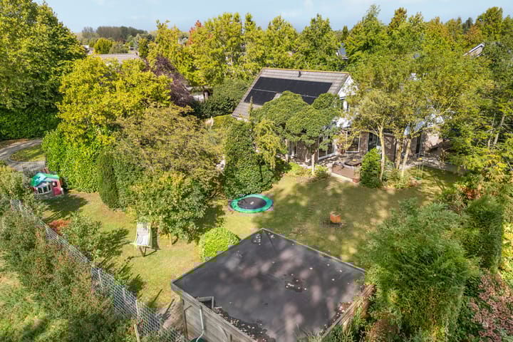 Foto 65 van Alligatorstraat 11