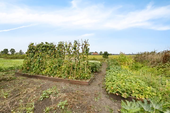 Foto 13 van Wergeasterdyk 45