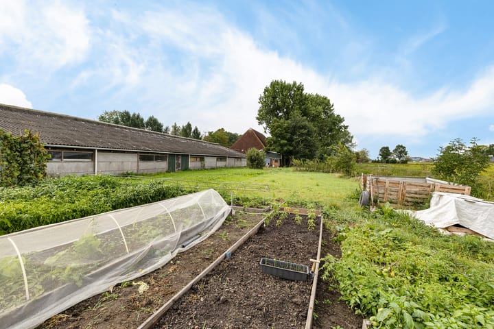 Foto 14 van Wergeasterdyk 45