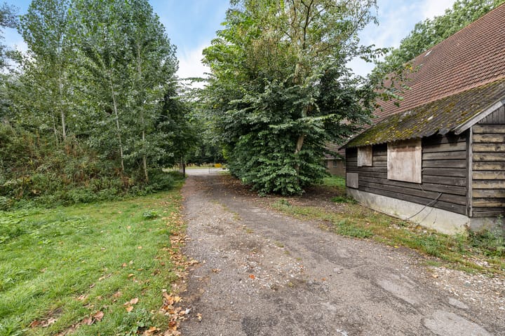 Foto 18 van Wergeasterdyk 45