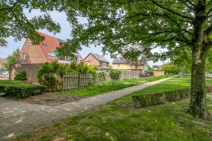 Foto 41 van Pluimpot 14