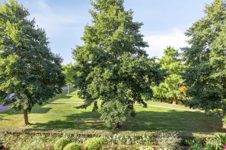 Photo 8 of Populierenhof 105