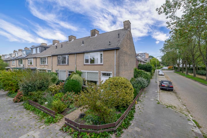 Foto 28 van Jan Steenstraat 63