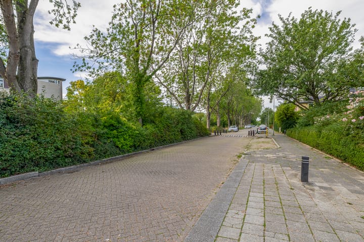 Foto 33 van Jan Steenstraat 63