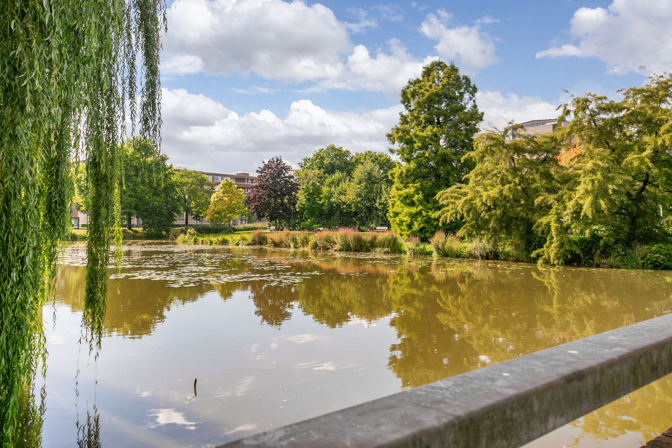 Photo 27 of Van Borselenstraat 44