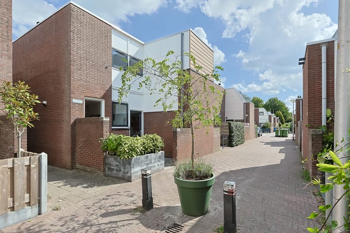 Foto 2 van Eekhoorntjesbrood 33