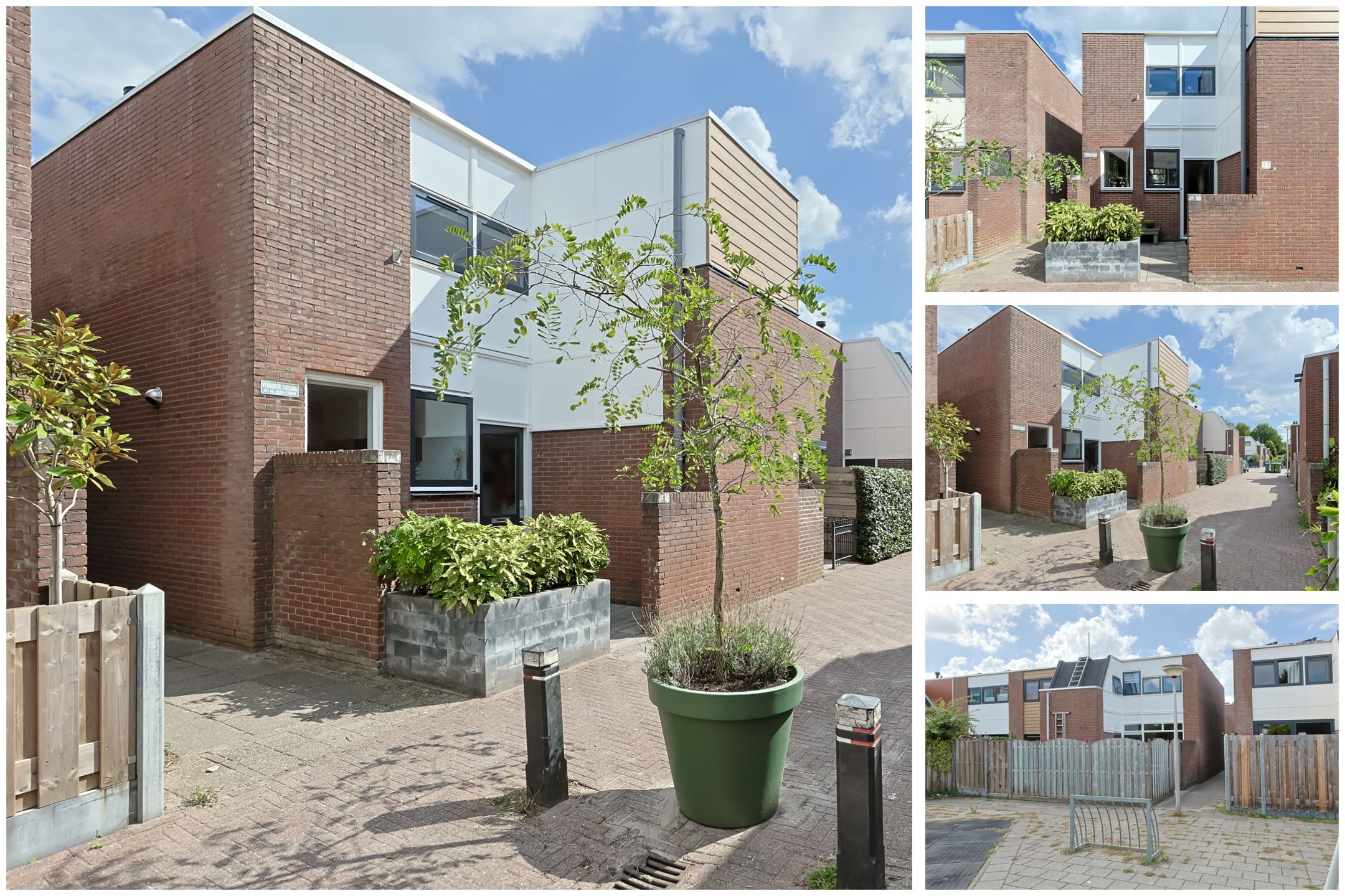 Foto 3 van Eekhoorntjesbrood 33