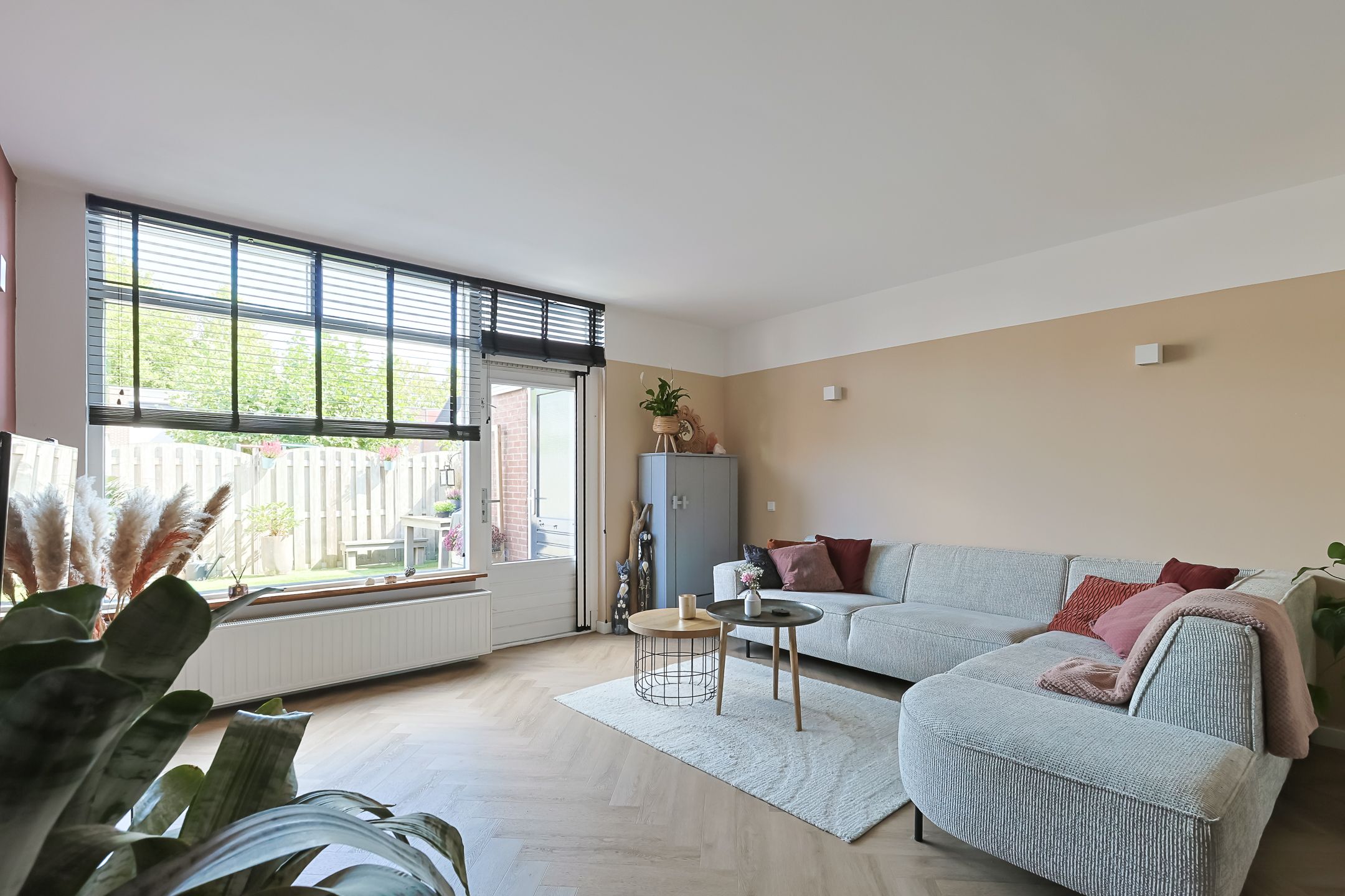 Foto 12 van Eekhoorntjesbrood 33