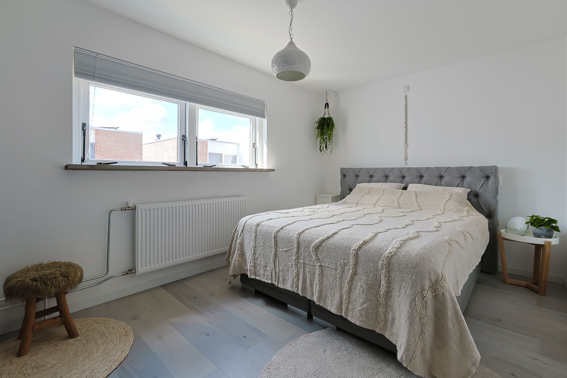 Foto 21 van Eekhoorntjesbrood 33